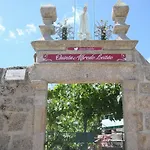 D Ines Сейя